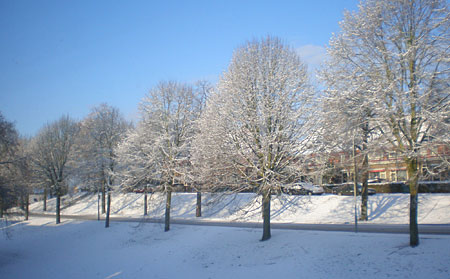 winter 2009